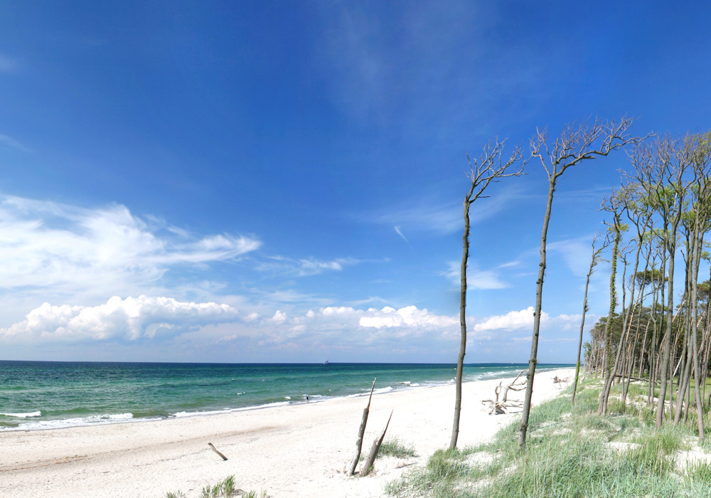 Mit dem Fahrrad zum Weststrand eines der schönsten Ausflugsziele auf dem Darß